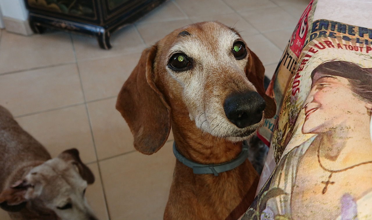 [Image: 20230302-143958.jpg]