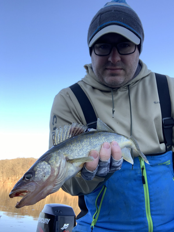 A108E528-7984-4381-8341-B7A742C527A8