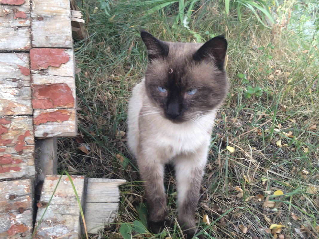 36A0BAA6-75F0-41EC-AC30-9C5262351B35