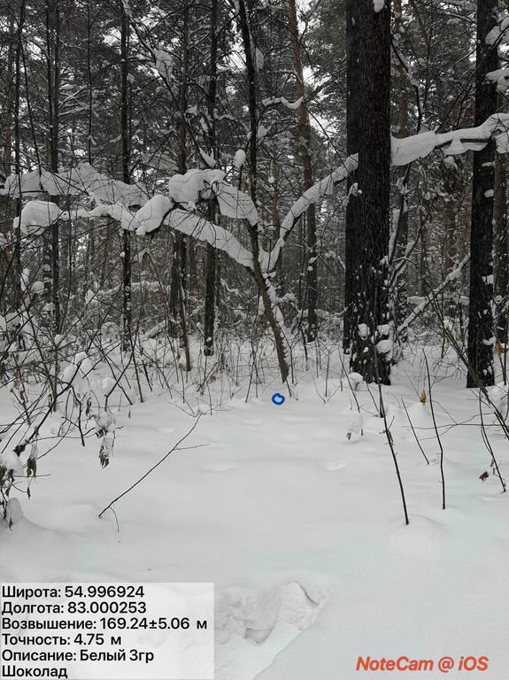 5803613542 064a2fcd jpg