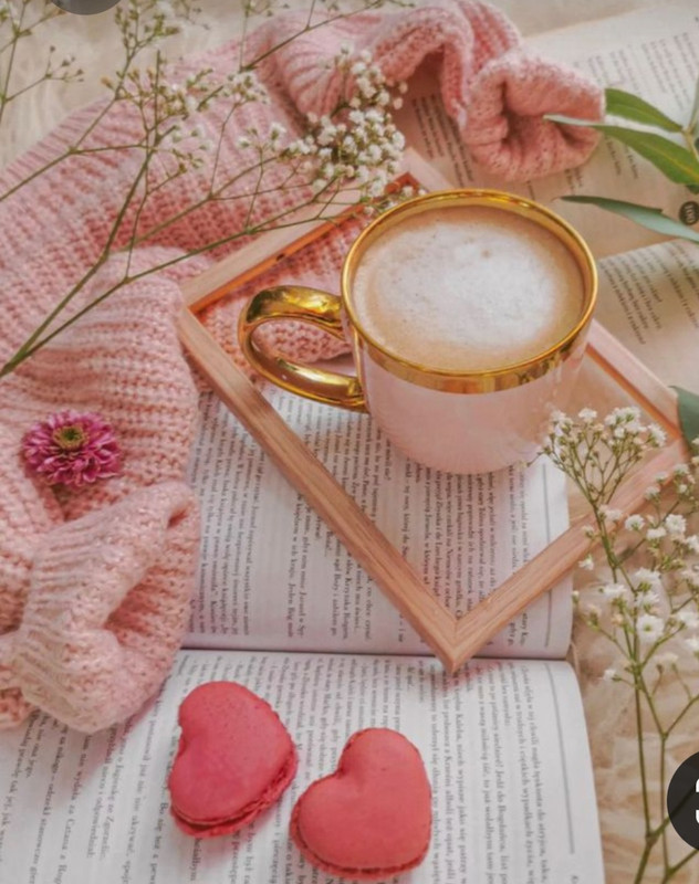 Screenshot_20230307_000457_Pinterest