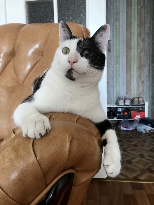 578FAD20-E12D-4BE9-9119-1A6B0B983622