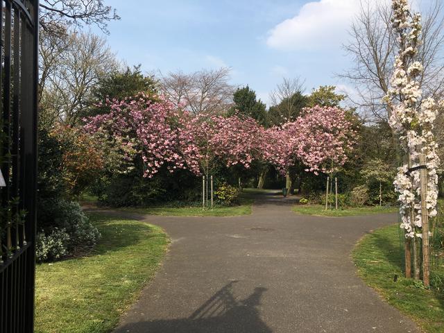 6A272A30-D1E4-4C62-9013-5EFDD2C63719