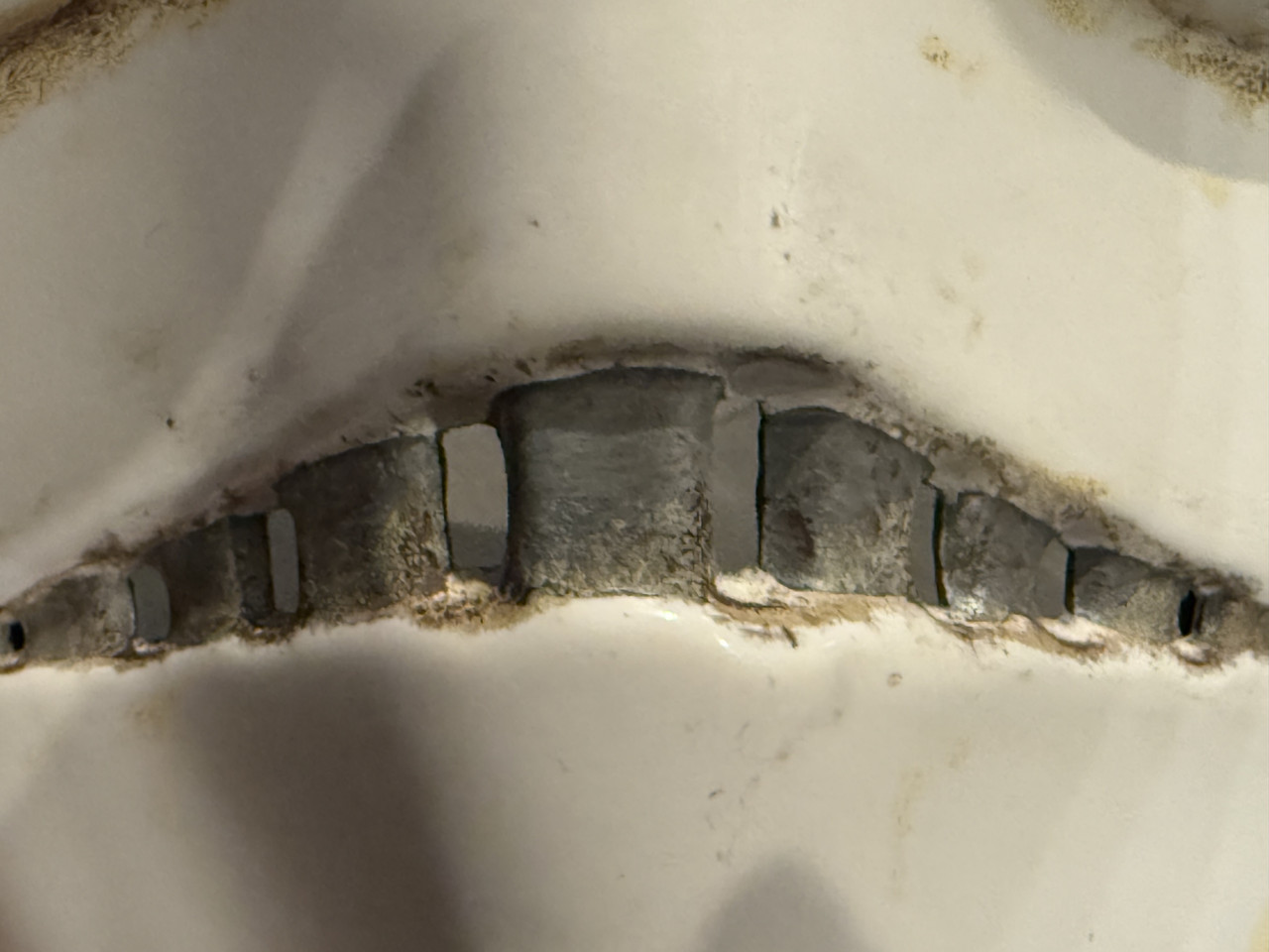 Photo Jan 28 2026 7 20 45 PM