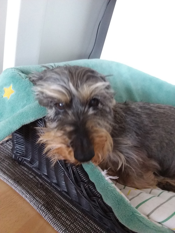 [Image: 20220302-100745.jpg]