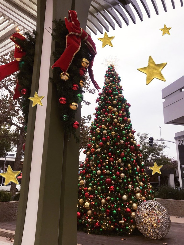 christmas tree 2024-2025