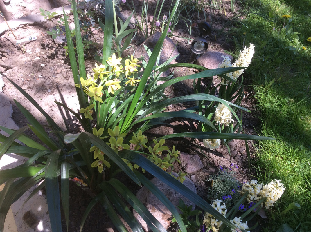 2EA96C6D-01C6-4720-ABF9-DC4C9FEB2360