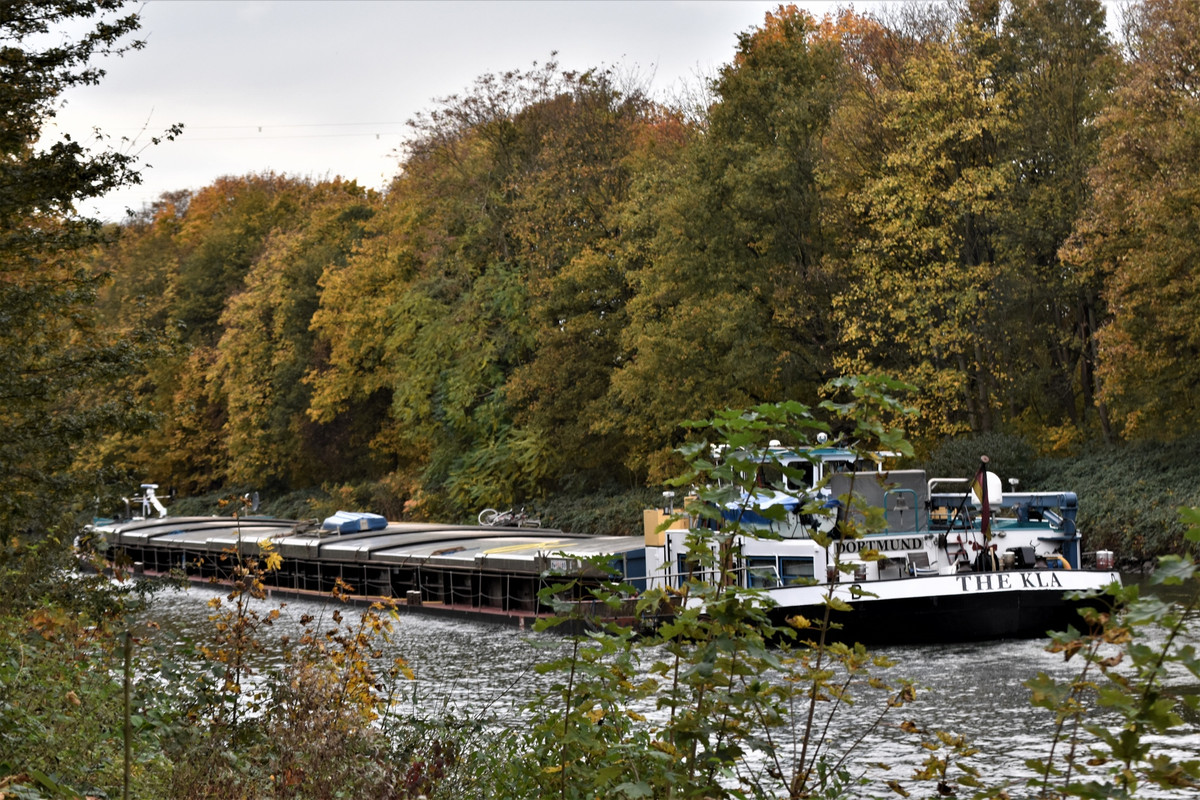 2021.10.31lb Thekla (1940x1293)