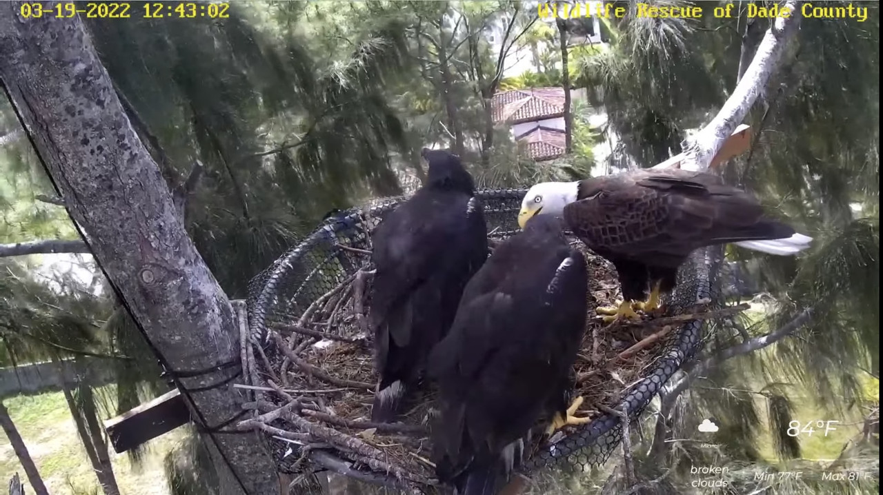 5E1D8F5F-4EAA-48E4-9D17-60F7673634C2