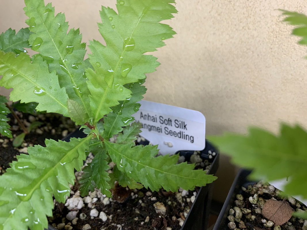 FE4C79E3-2AED-4889-B26E-2DE3B54BEF09