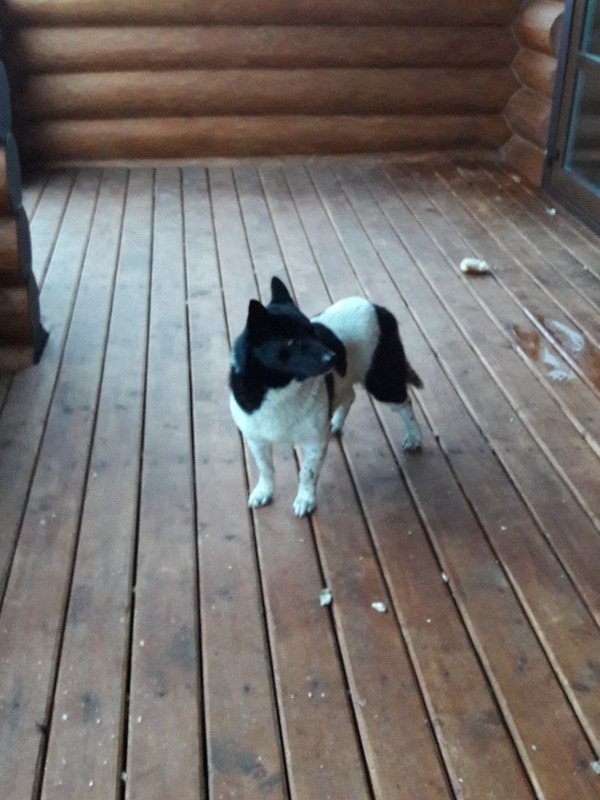 42AFB75A-7ADE-4D5D-A182-4632AFD78338