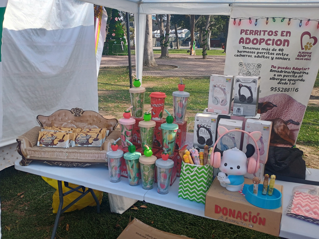 IMG_20241221_160056673_HDR