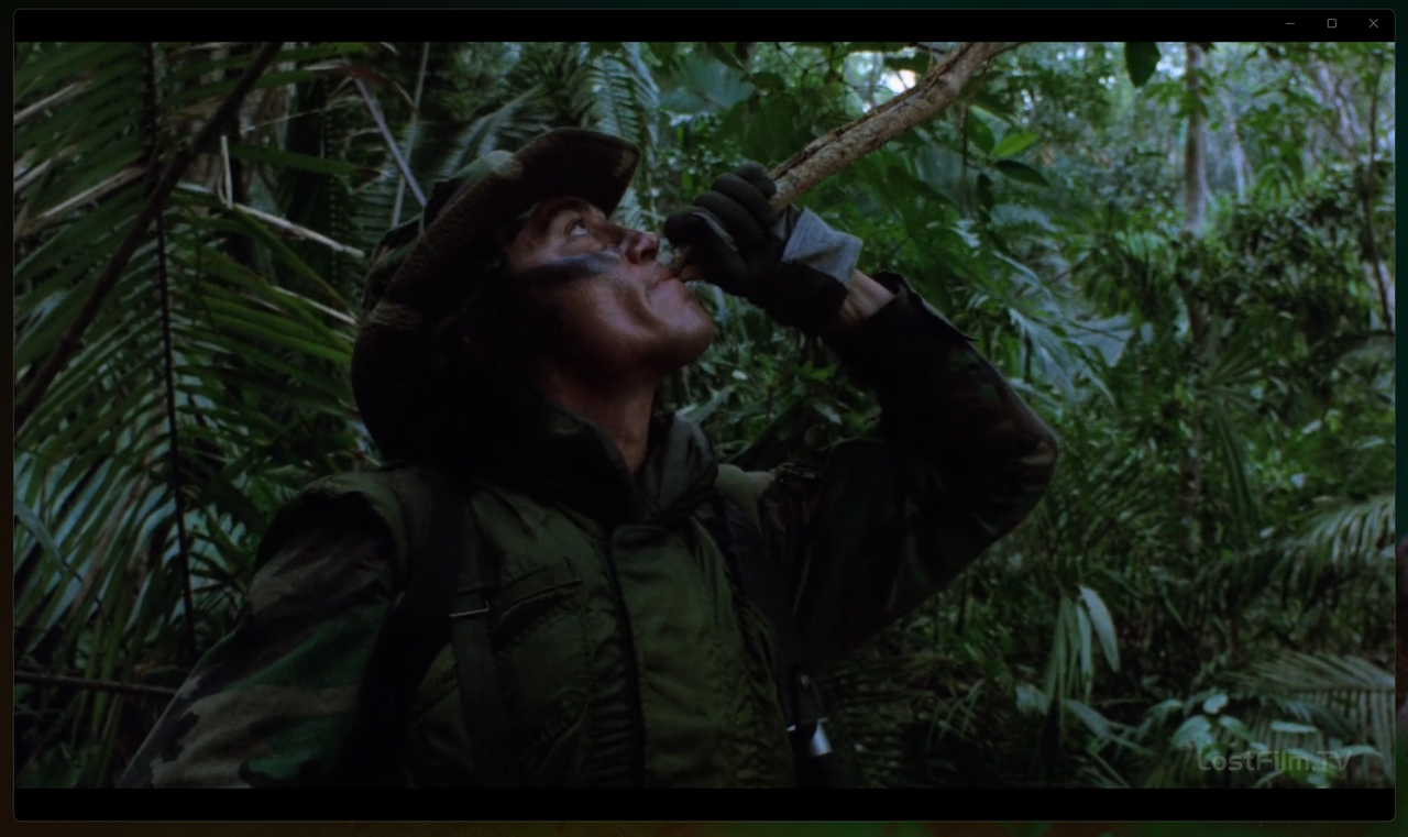 Снимок экрана 2025-05-31 111607