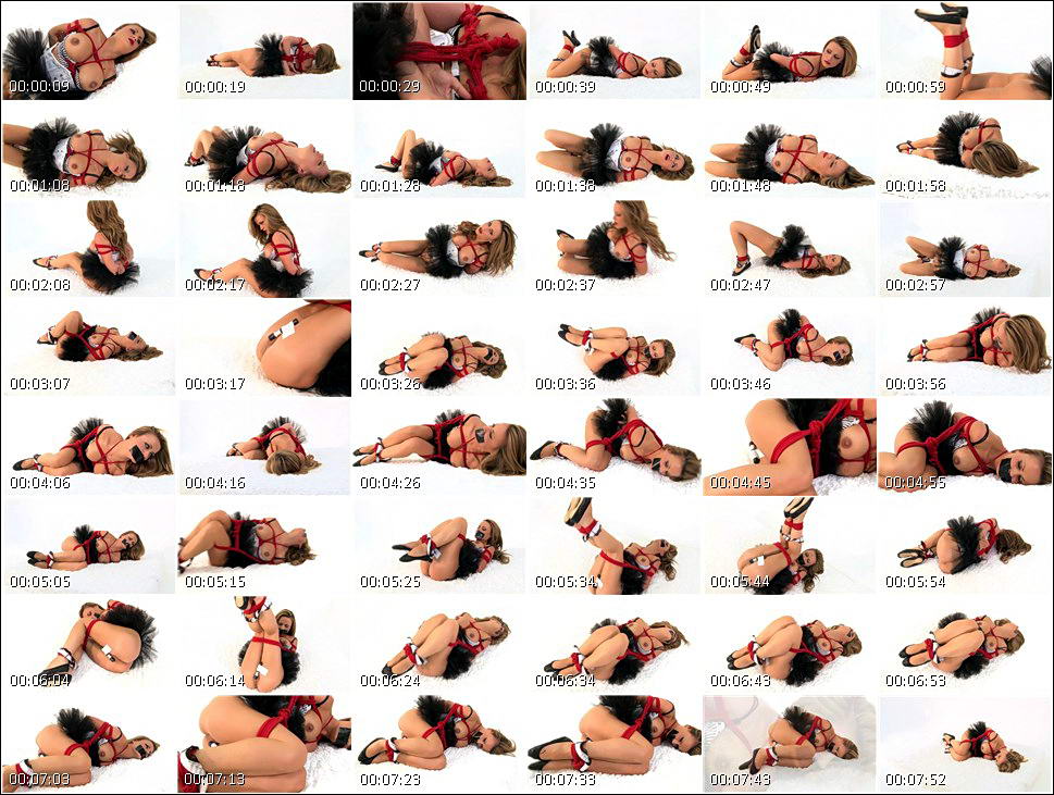 bound_and_gagged_video_0641.wmv