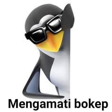 157.jpg