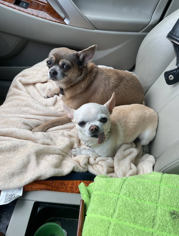 D91DB19F-DF72-4257-A229-4E3C9433CDAF