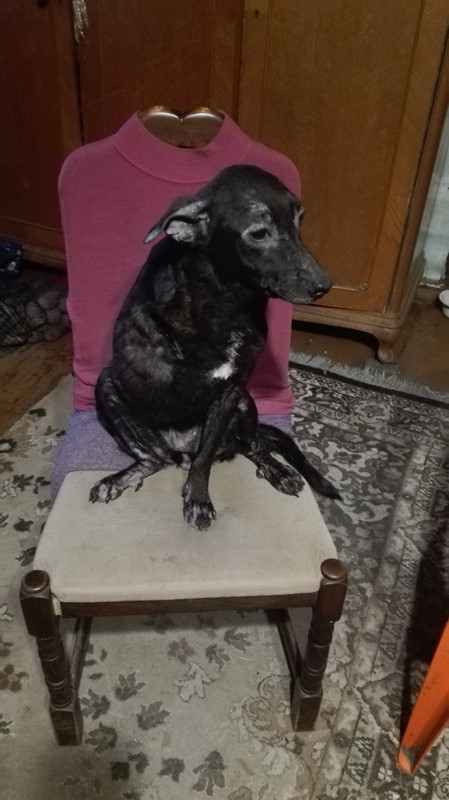 3B499EAA-4DFD-4977-B65A-55DAA37DF410