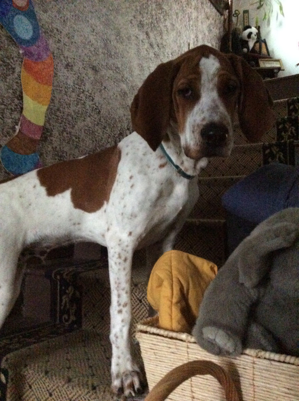 7223A365-C2A3-49F3-9789-693CE92B2517