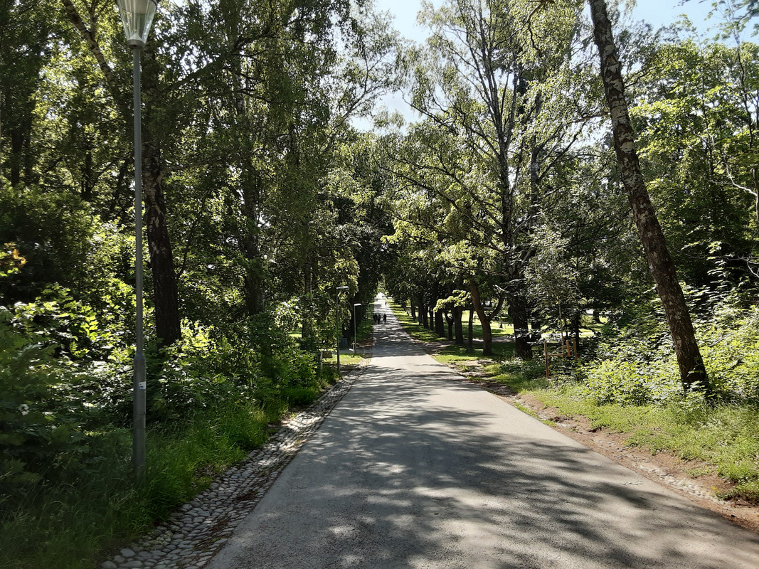 20250629-104003.jpg