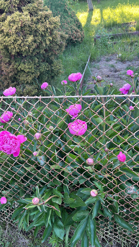 090F049D-464D-423D-83C4-ED0AE2572DBD