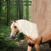 Untitled16_20240402121510