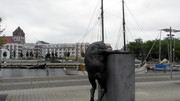 Greifswald-Museumshafen