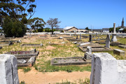 DSC-0057-(2)