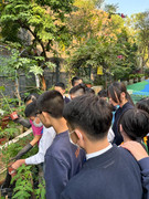 f3d30cd4-4ded-4781-a62a-83bdcbd77d70