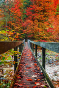 wp7552604-autumn-themed-wallpapers