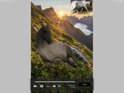 74AC1748-635C-47C7-9459-BB36ACA8A625