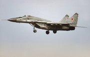 787. IAP, Mig-29 05 white (4)