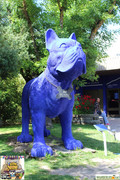 IMG-5791