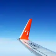 다음지도