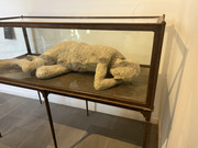 20230703 121631089 i OS