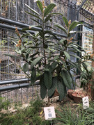 photo-iherbalgarden-3rd-035