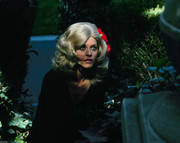 lindsay-wagner-d14