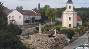 Kép
