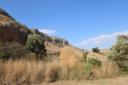 IMG-0238