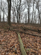 [Image: IMG-5613.jpg]