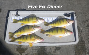 [Image: FIVE-FER-DINNER.jpg]