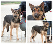 Be-Funky-collage-24.jpg&key=e928450c7cf8