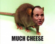 Sleazy Schiff 28