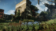 Crysis3_2013_02_23_00_31_01_600