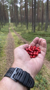 IMG-6037
