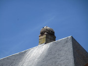 IMG-7632.jpg