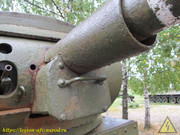 IMG-2911