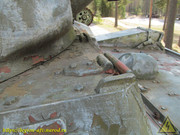 IMG-7009