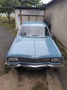 104433802_294224518375453_7543388902083609455_n