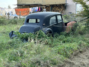 IMG-6372.jpg