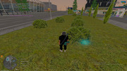 IMG-6592